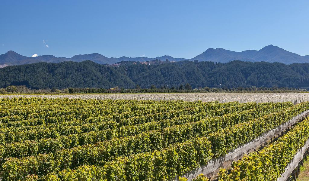 Straw Lodge Vineyard And Boutique Lodging Renwick Zimmer foto