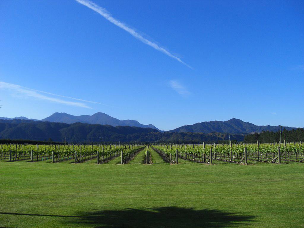Straw Lodge Vineyard And Boutique Lodging Renwick Exterior foto