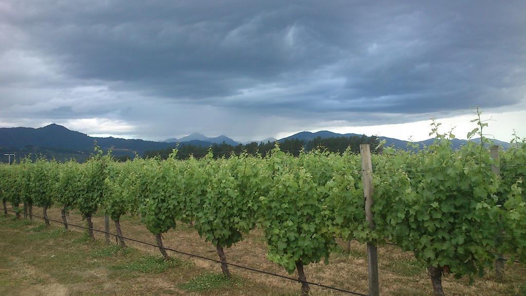 Straw Lodge Vineyard And Boutique Lodging Renwick Exterior foto