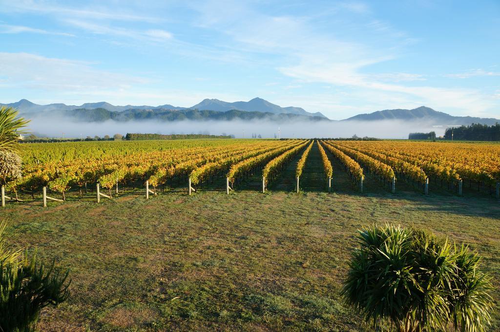 Straw Lodge Vineyard And Boutique Lodging Renwick Zimmer foto